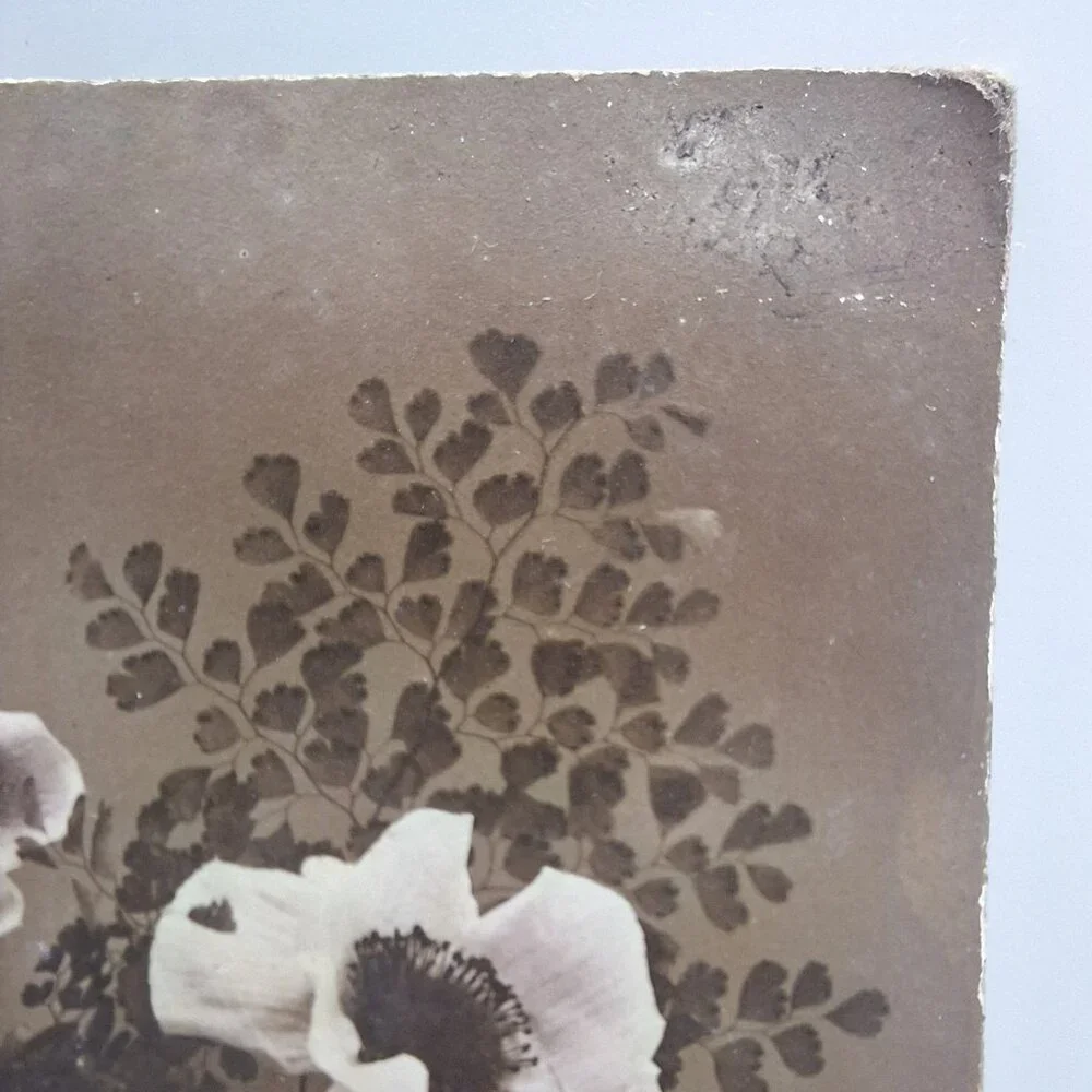Antique REX 619 Floral Postcard Sepia Botanical Art‎ Belgium Postmark Brown Aged
